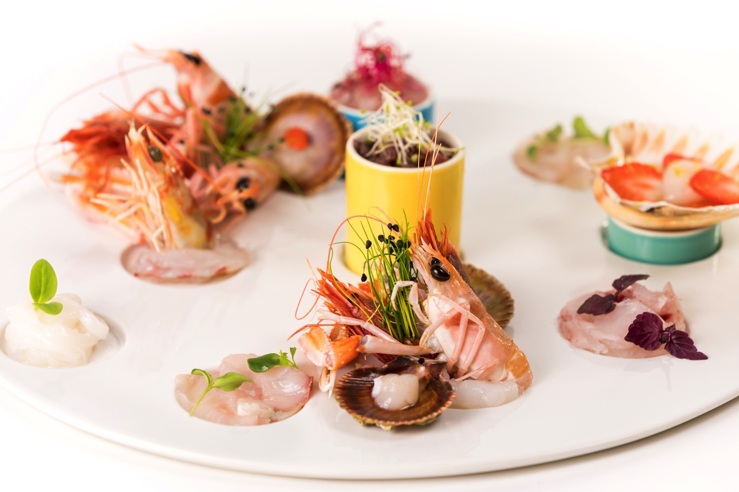 Ristorante di Pesce Crudo a Padova Ristorante Dorio Ristorante di Pesce Crudo a Padova Ristorante Dorio